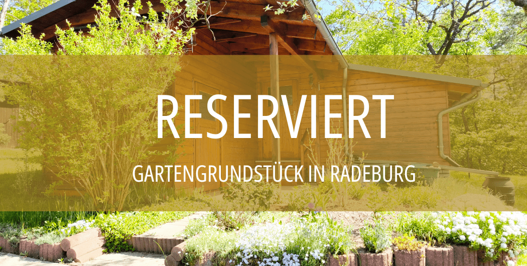 Freizeitgrundstück in Radeburg kaufen, Immobilienmakler Radeburg